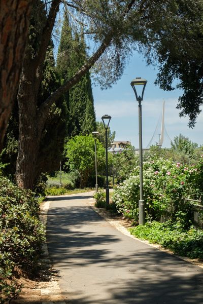 File:Wohl Rose Park Jerusalem 2025.jpg